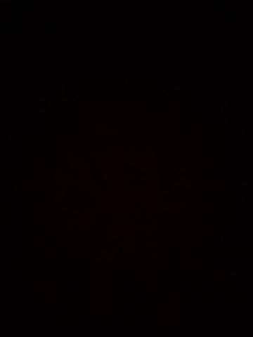 София фото 2